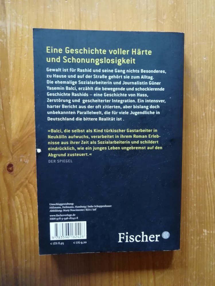 Arabboy – Eine Jugend in Deutschland oder Das kurze Leben des Rashid A.