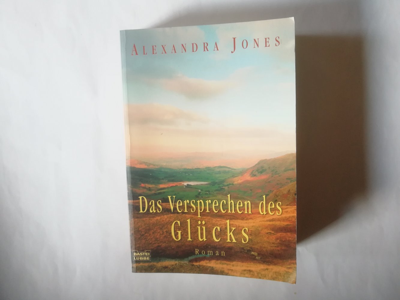 Das Versprechen des Glücks