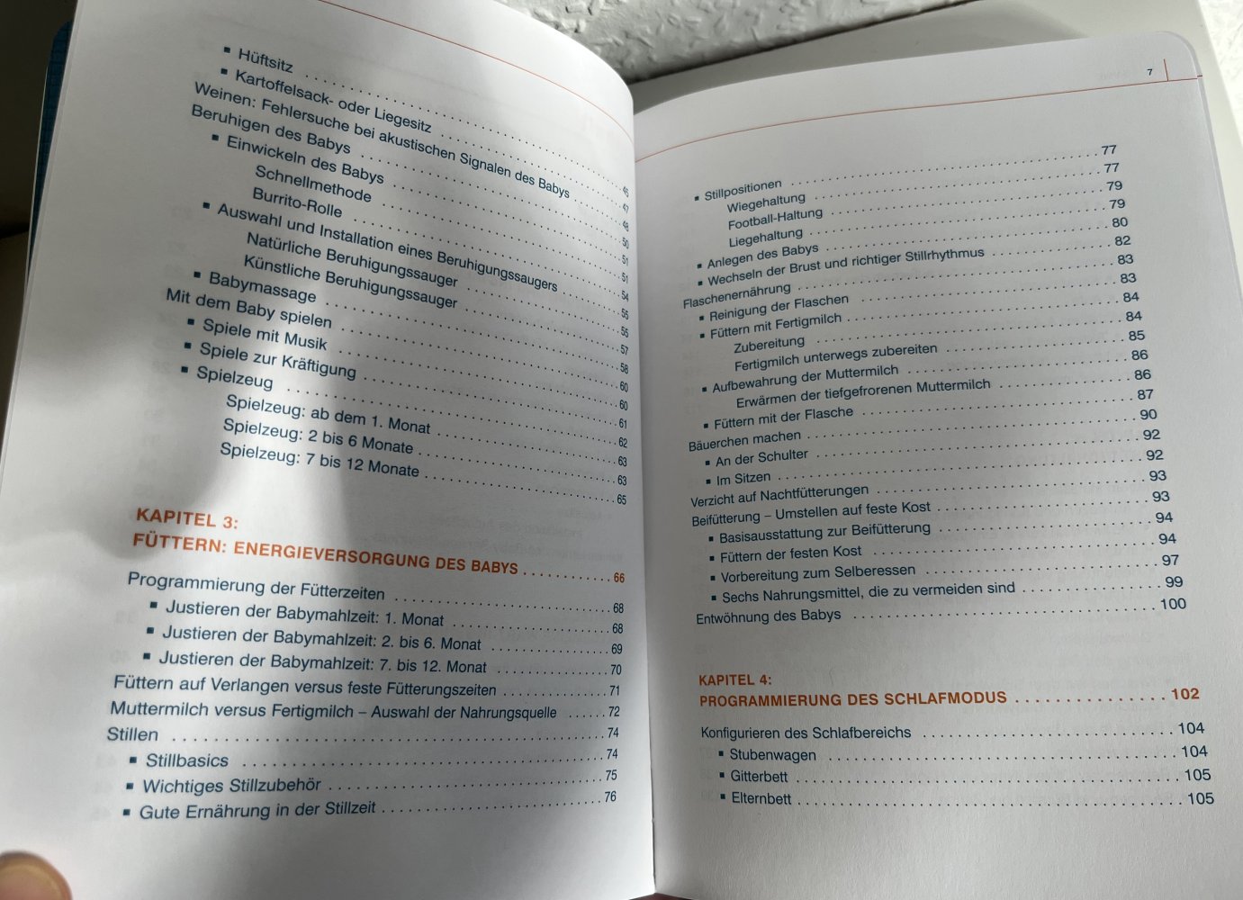 Das Baby - Inbetriebnahme, Wartung und Instandhaltung - Buch