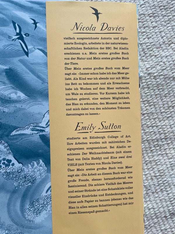 Mein erstes großes Buch vom Meer von Nicola Davies Emily Sutton
