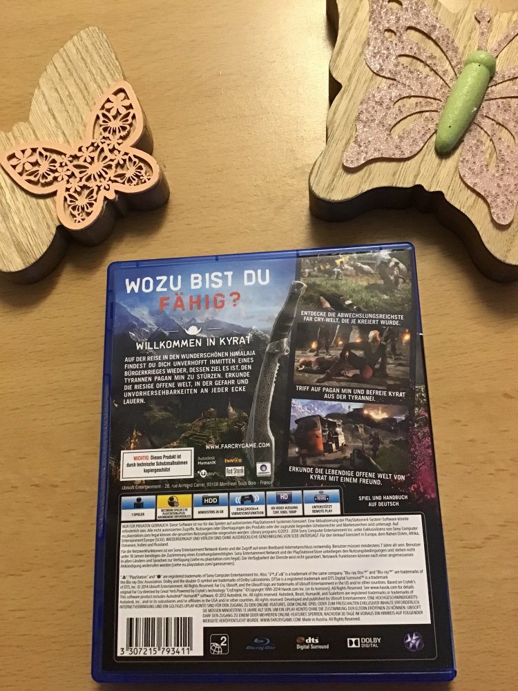PS 4 Spiel