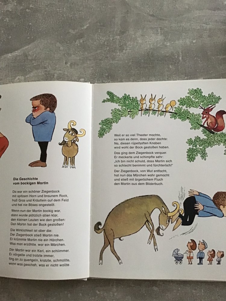 Buch So ein Struwwelpeter