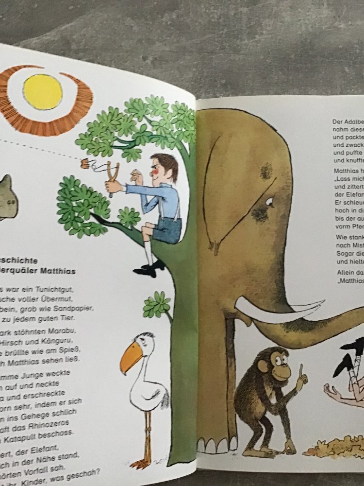 Buch So ein Struwwelpeter