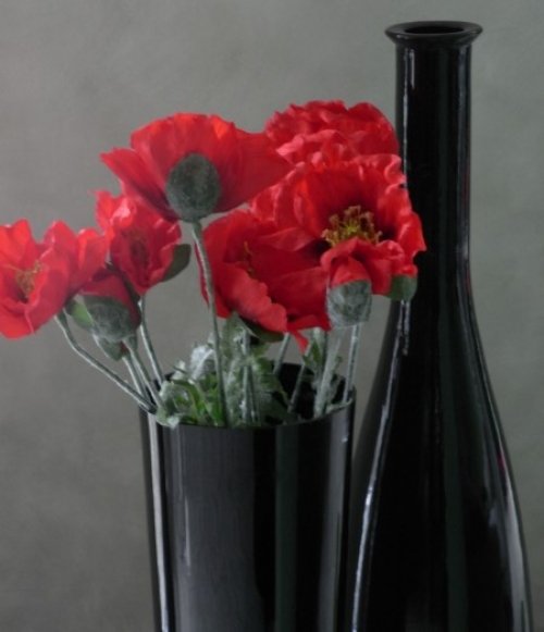 RoterKlatschMohn