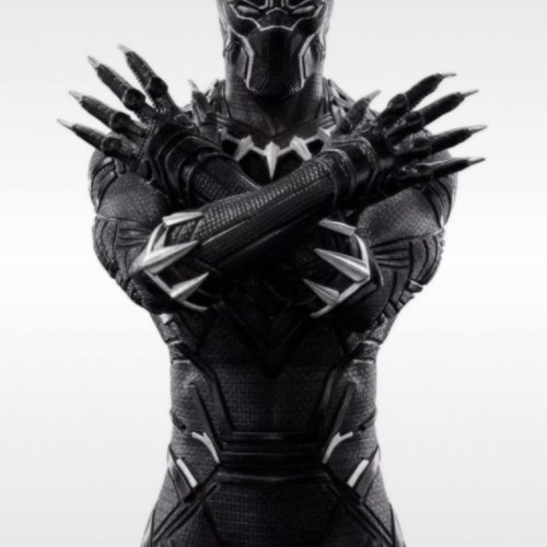 Cool-Black-Panther