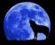 Moonlight1986