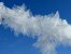 Schnee_23