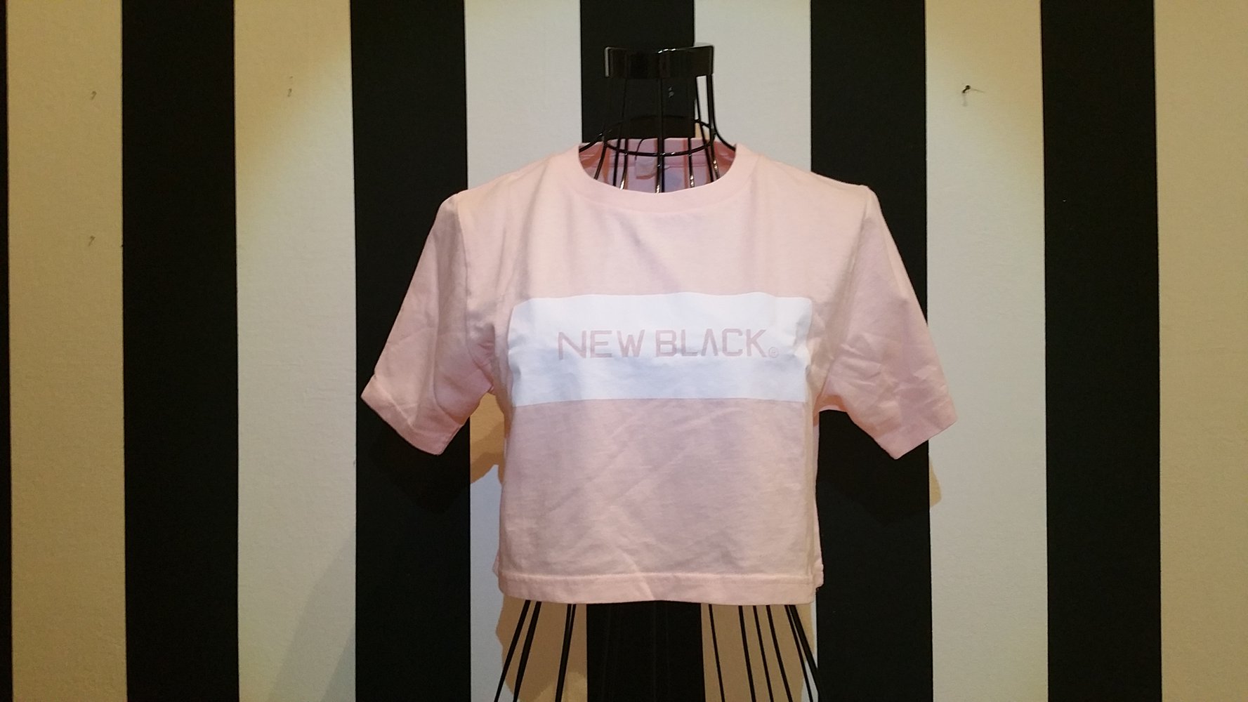 New Black Landscape Logo Crop Top Rose