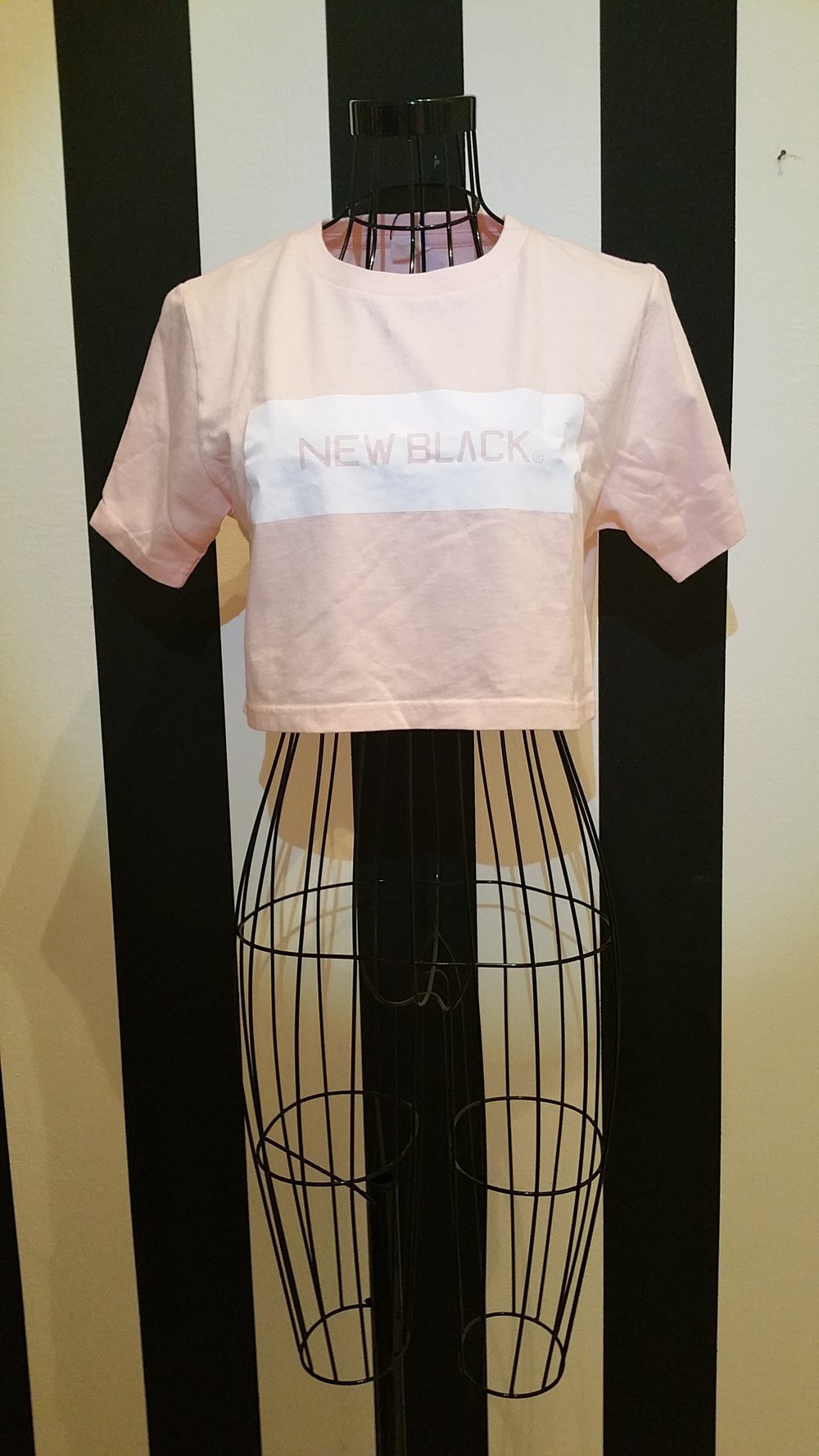 New Black Landscape Logo Crop Top Rose