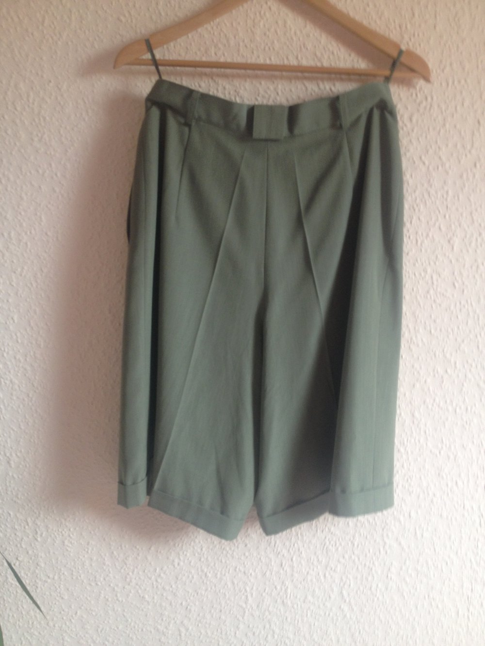 grüne Shorts (high-waist)
