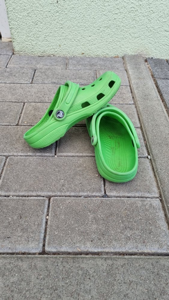 Crocs in grün