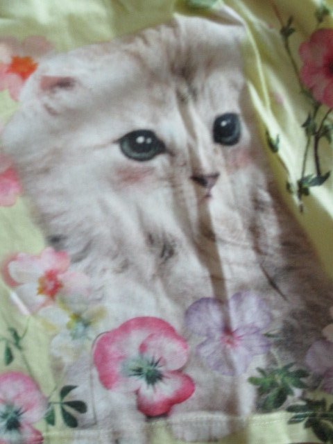 Süßes Jersey Kleid Gr.98/104 Katze Blumen