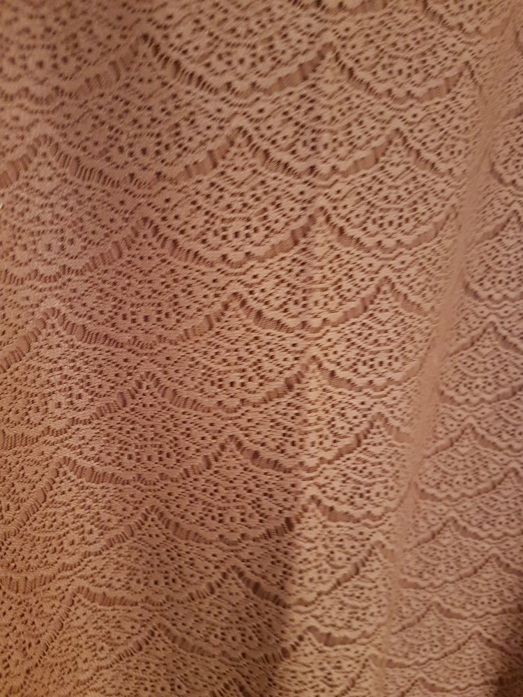 Spitzenshirt Anna Field lachsrot 40