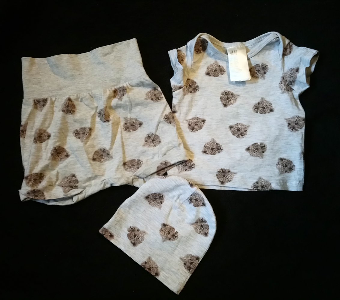 Set Shorts Shirt Mütze H&M grau 56 Katze