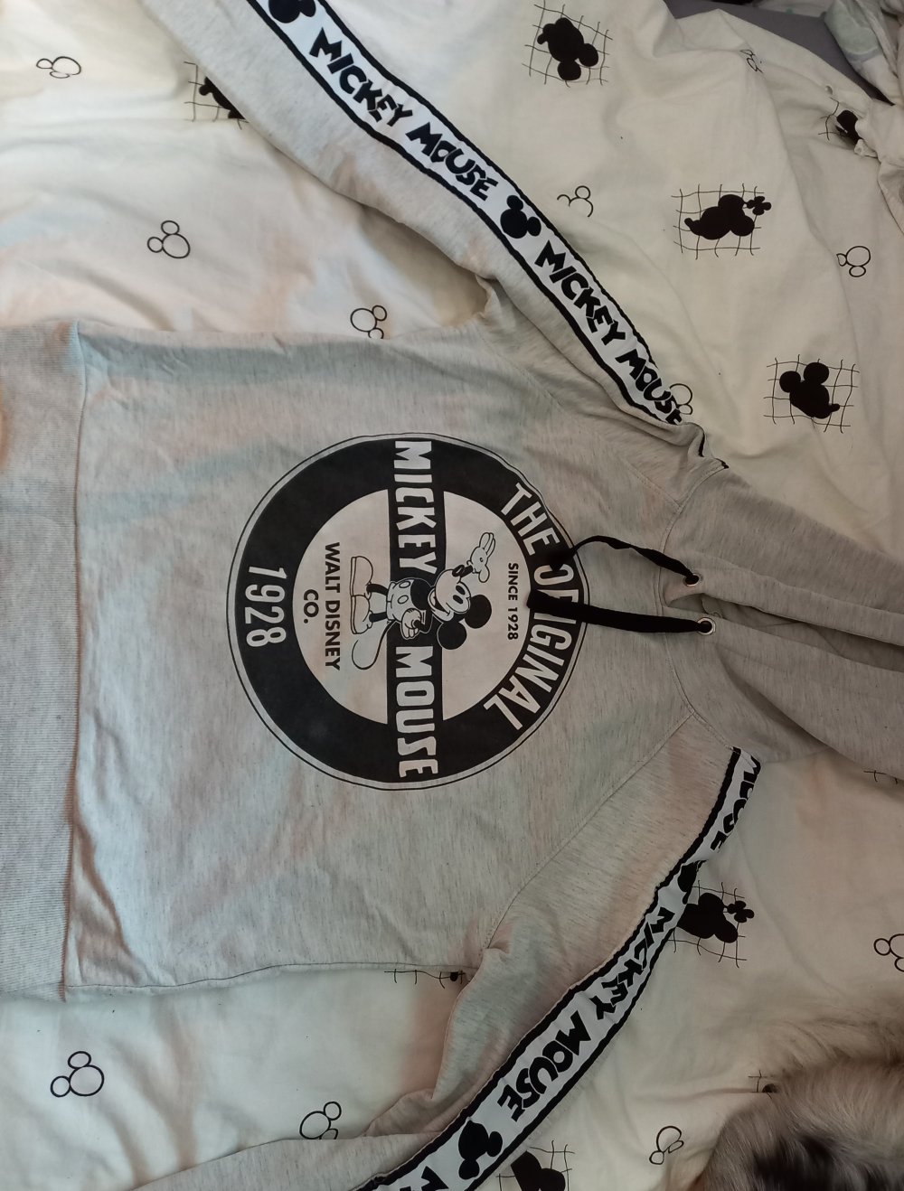 disney hoodie