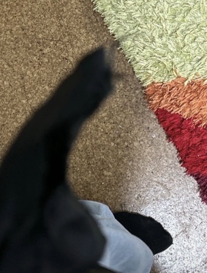 schöne, Warme Winterjacke