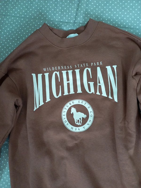 NEUWERTIG! H&M Kuschel Sweat Pulli Gr 134/140, Mädchen, warm, braun, Print, Herbst, Winter, College
