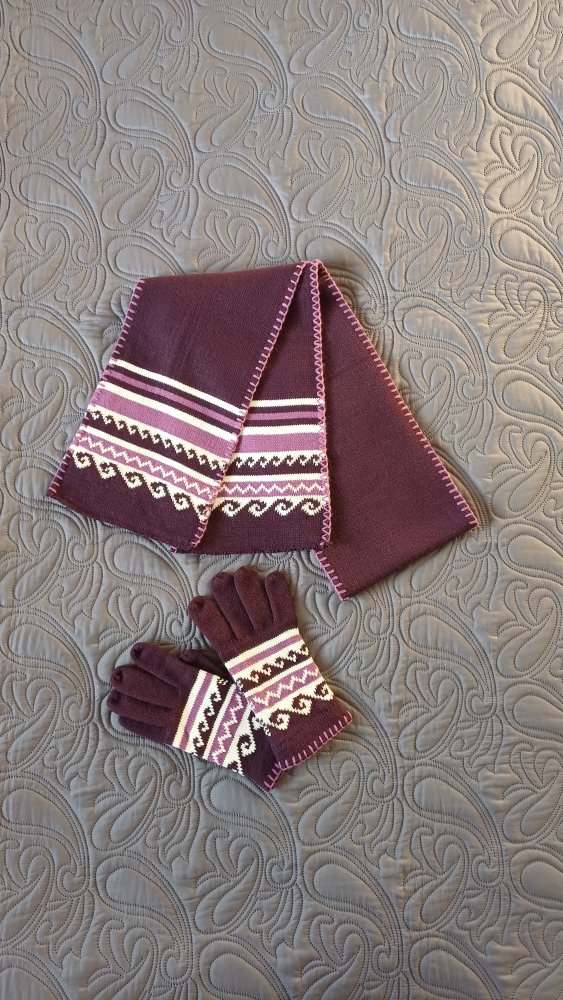 Schal und Handschuhe