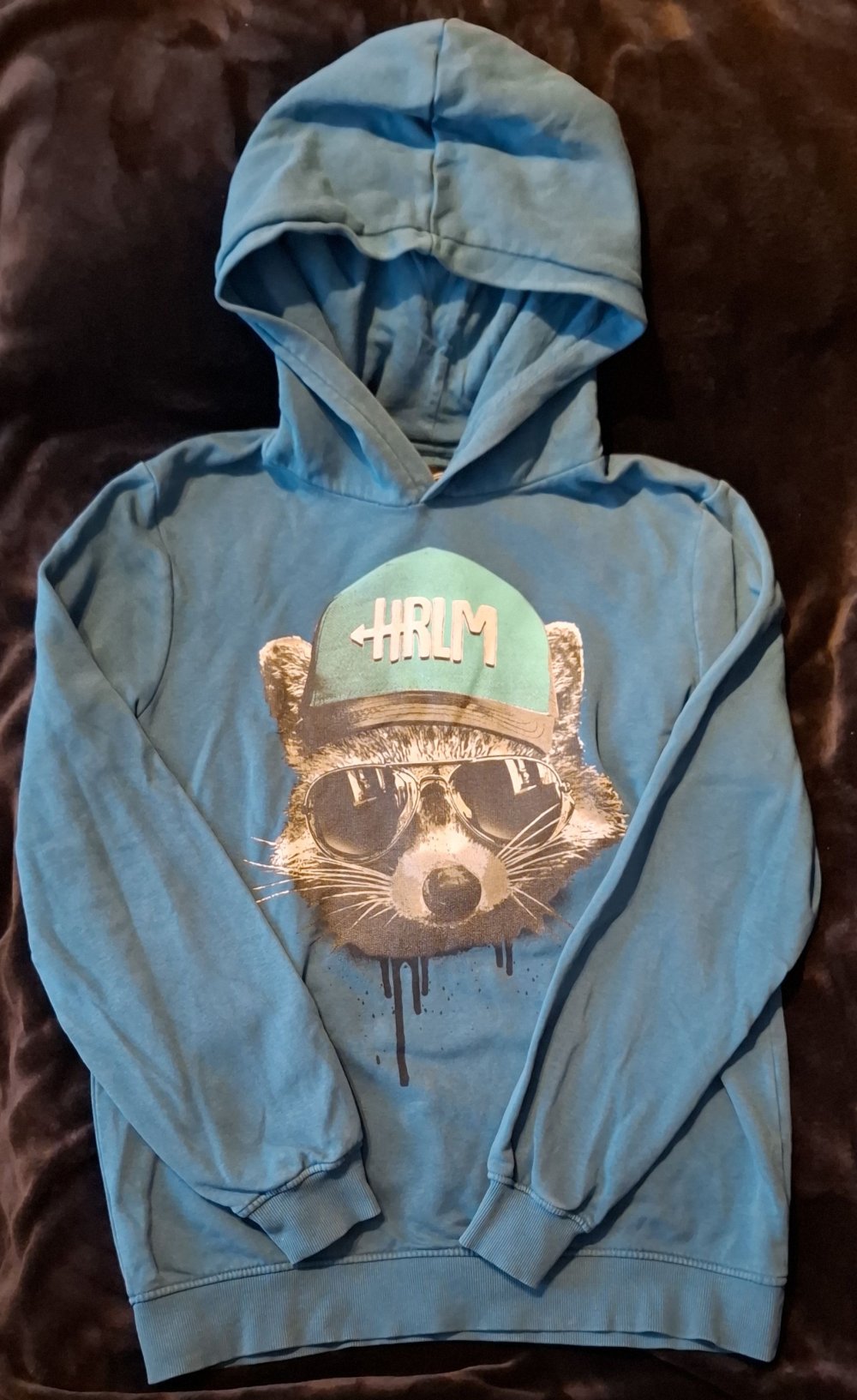 Petrolfarbener Hoodie von Skate Nation mit Aufdruck