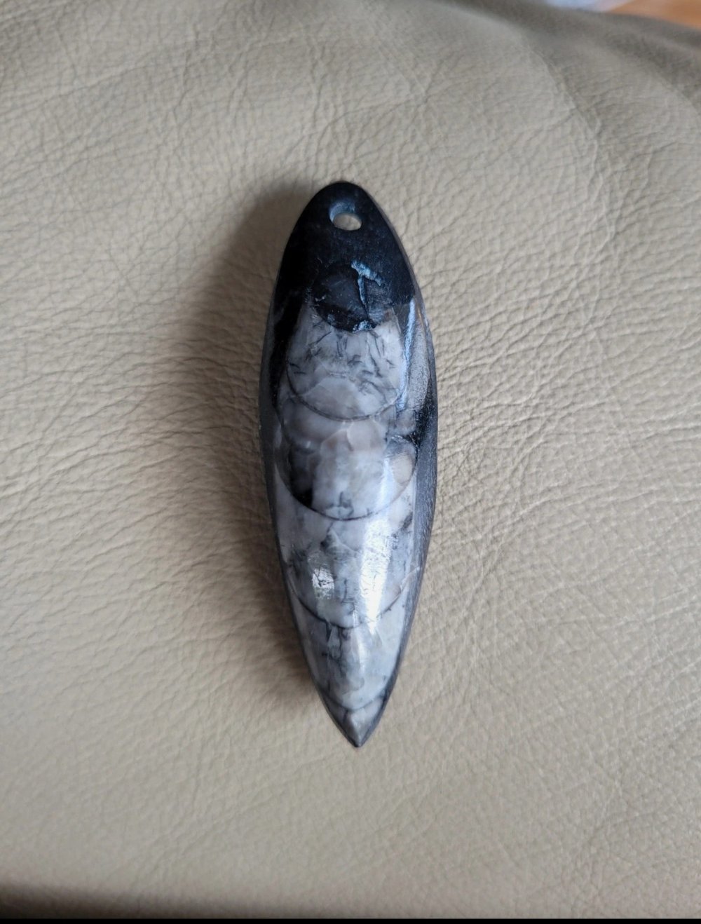 Fossiler Stein Anhänger gebohrt Steinanhänger fossil Edelstein Heilstein Hippie Gipsy Gypsy Boho grau Natur Schmuck Naturschmuck