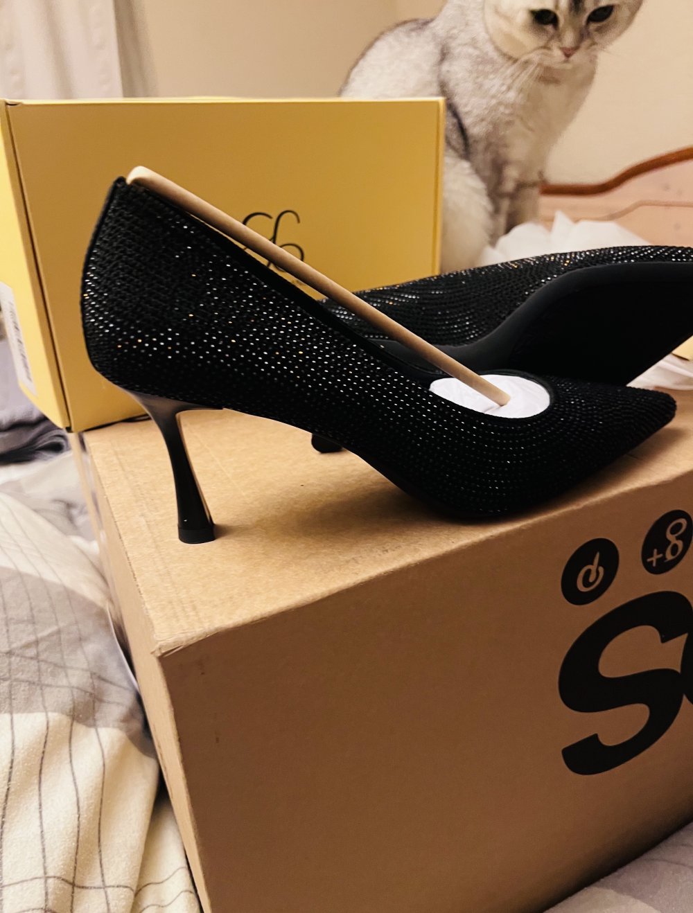 pumps elegant