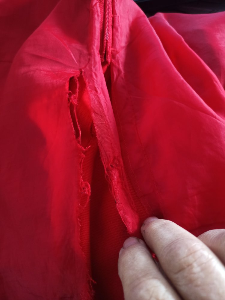 Kleid