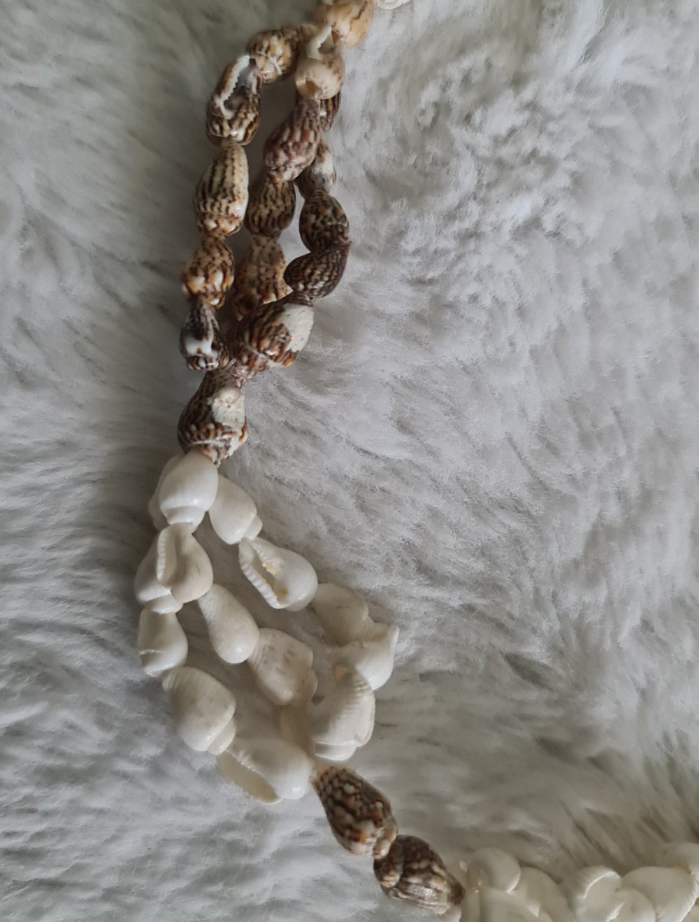 Halskette mit Muscheln Kette