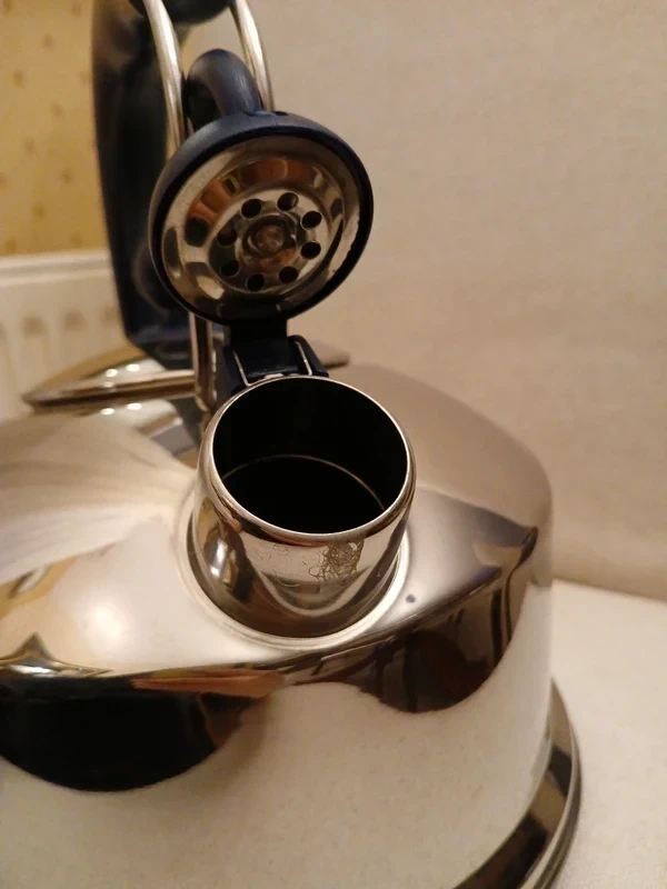 WMF Flötenkessel 1,7l