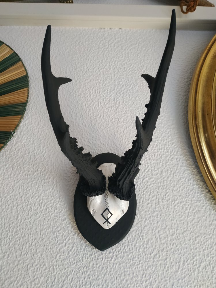 Deko Runen Wiking Goblincore Othala Pagan Mittelalter Larp