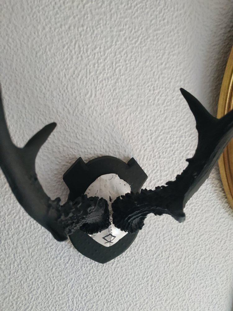 Deko Runen Wiking Goblincore Othala Pagan Mittelalter Larp
