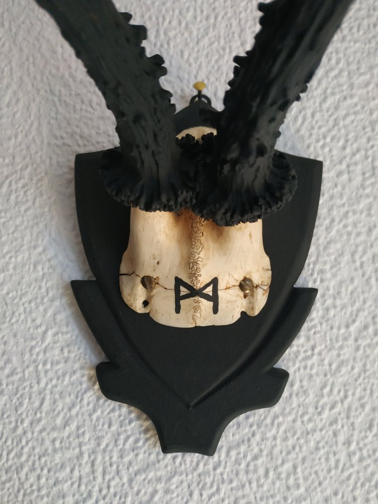 Deko Runen Wiking Goblincore Mannaz Pagan Mittelalter Larp