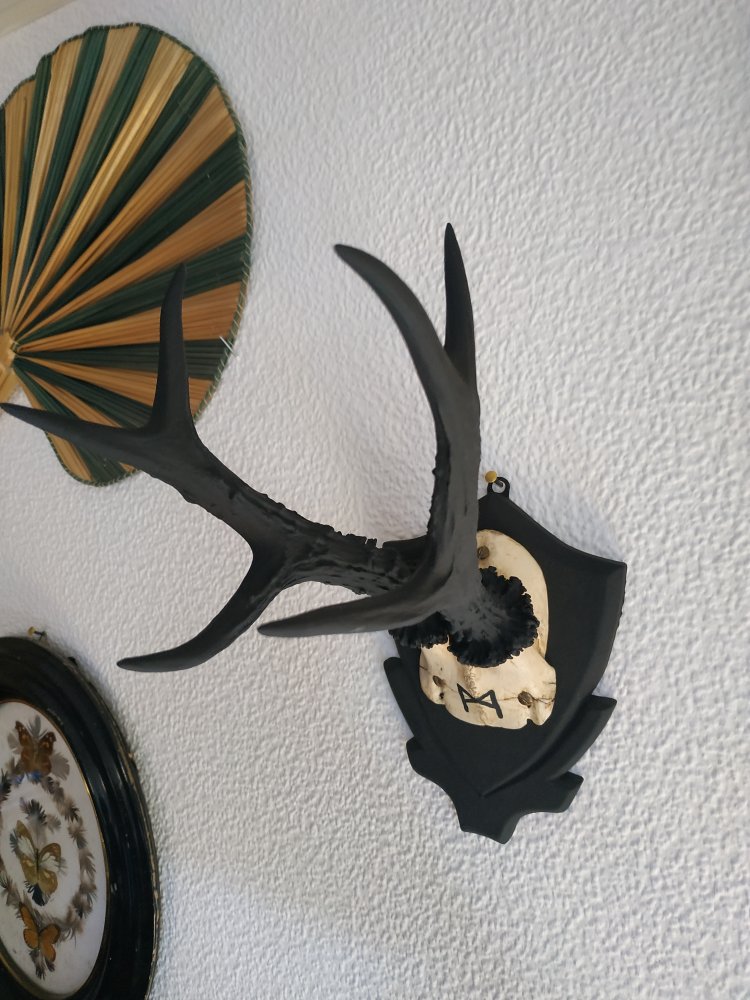 Deko Runen Wiking Goblincore Mannaz Pagan Mittelalter Larp