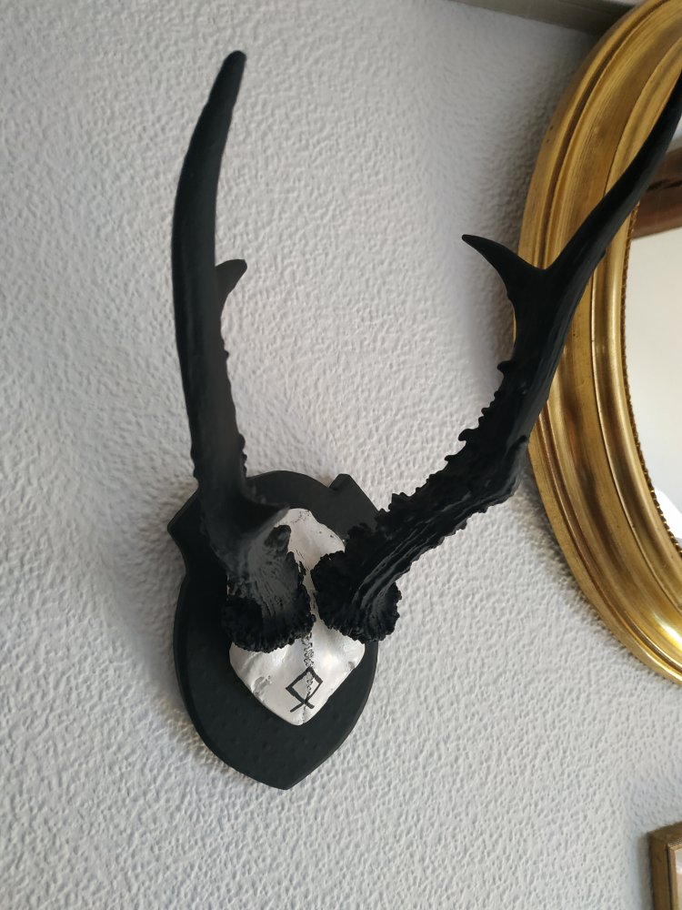 Deko Runen Wiking Goblincore Othala Pagan Mittelalter Larp