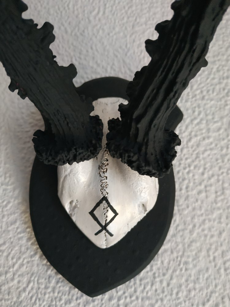 Deko Runen Wiking Goblincore Othala Pagan Mittelalter Larp