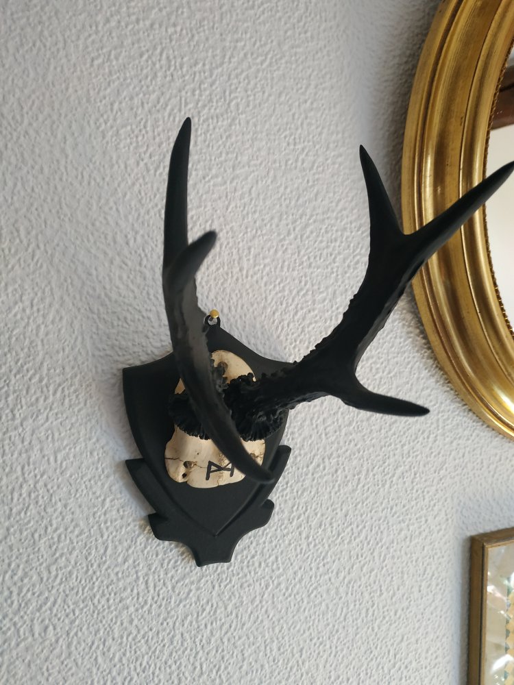 Deko Runen Wiking Goblincore Mannaz Pagan Mittelalter Larp