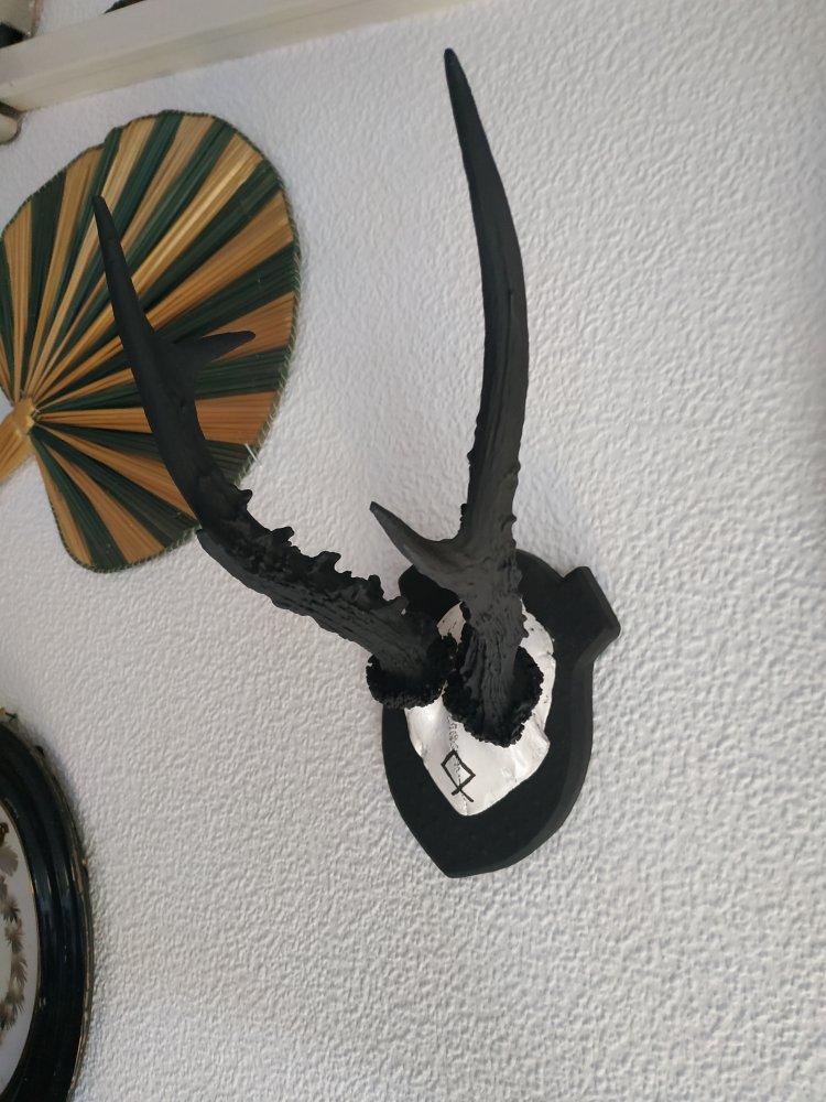 Deko Runen Wiking Goblincore Othala Pagan Mittelalter Larp