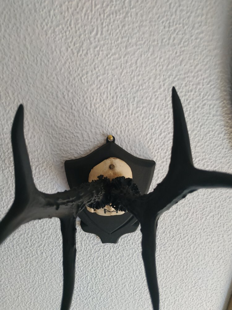 Deko Runen Wiking Goblincore Mannaz Pagan Mittelalter Larp
