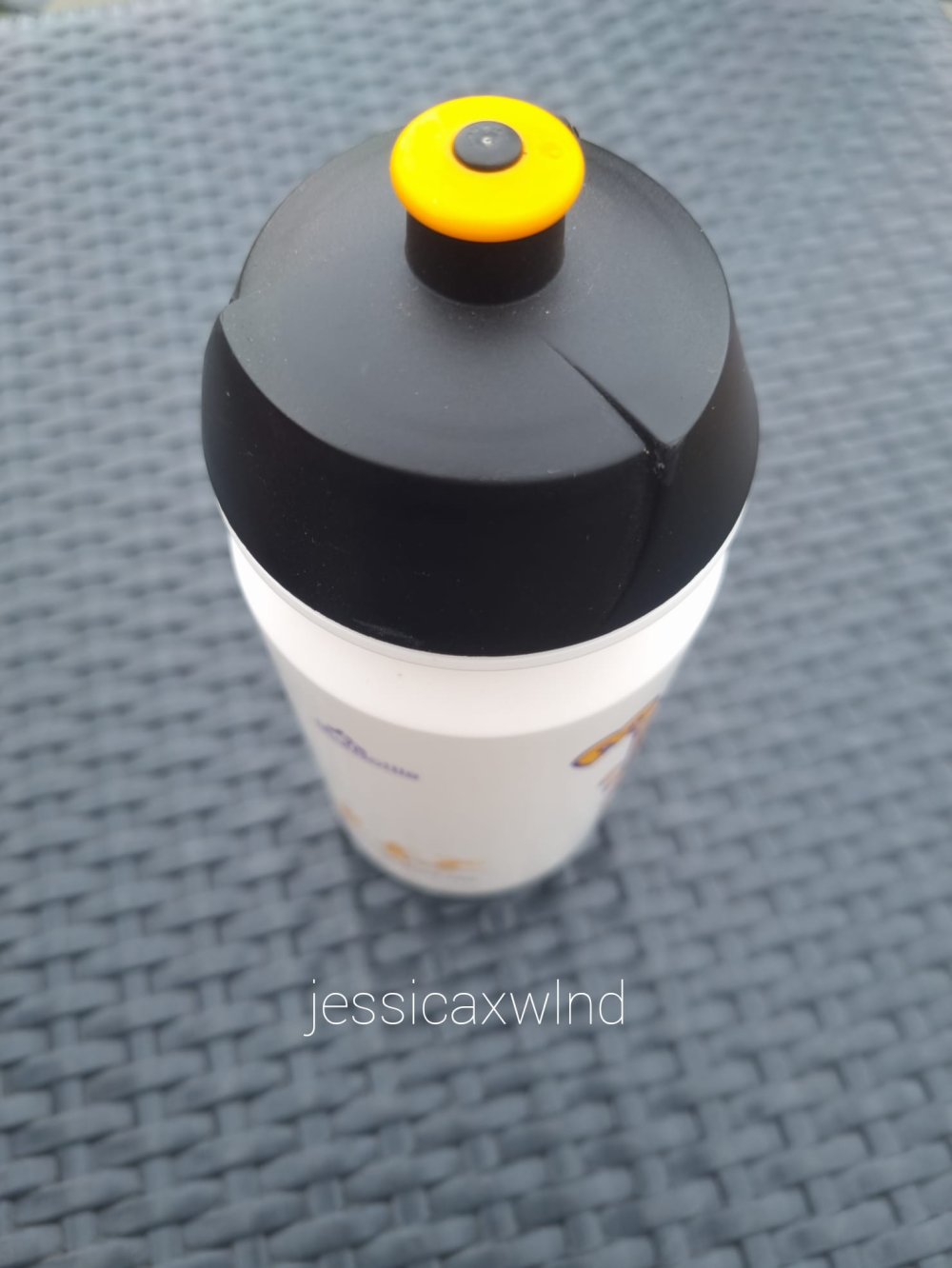 Wasserflasche Trinkflasche Getränkeflasche Flasche Sportflasche Plastikflasche
