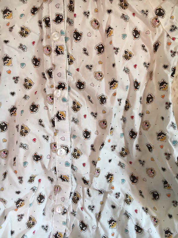 Bluse Katzen, Eulen, Füchse