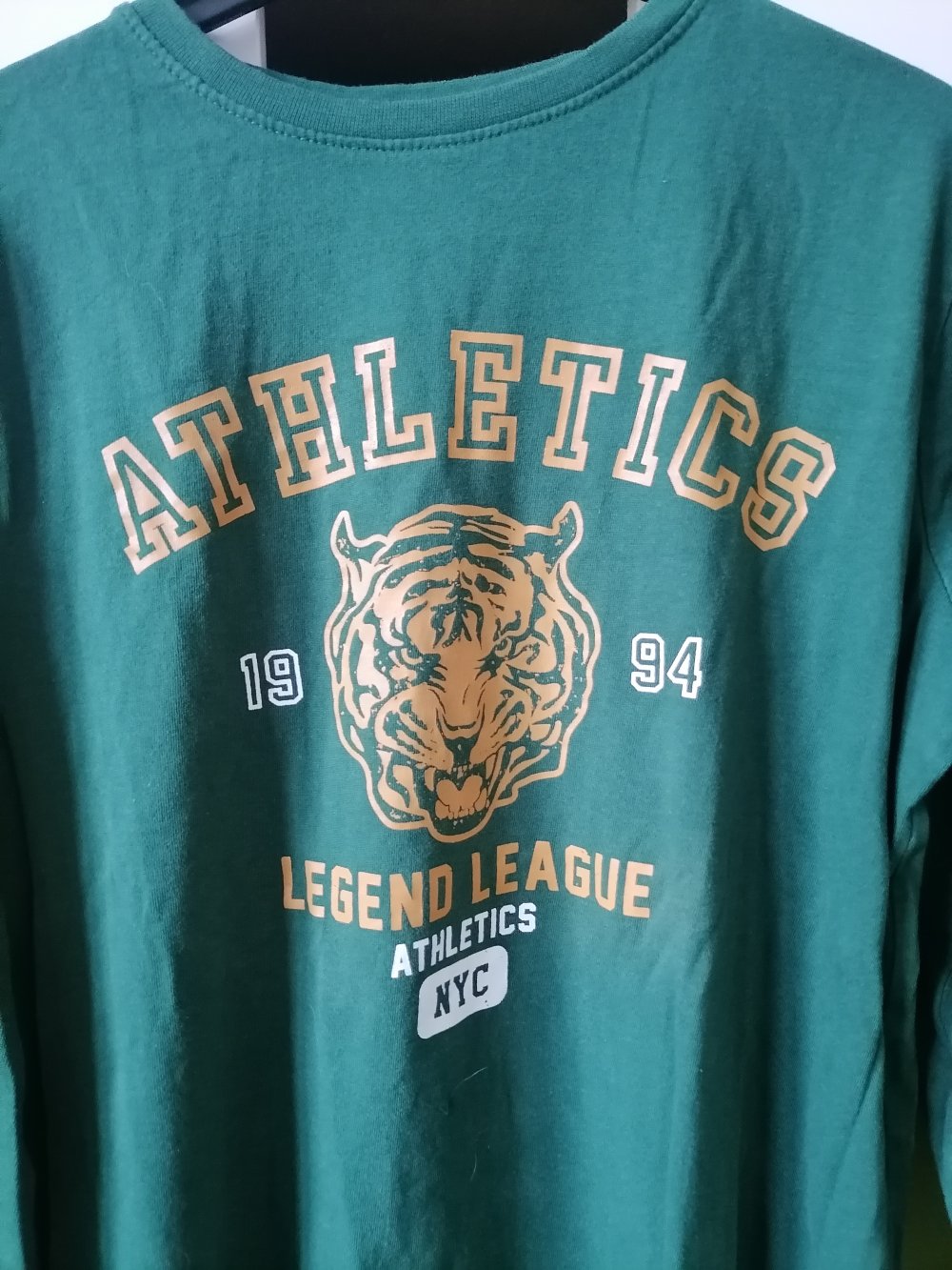 Longsleeve Pulli Shirt Gr. 152 Primark Tiger