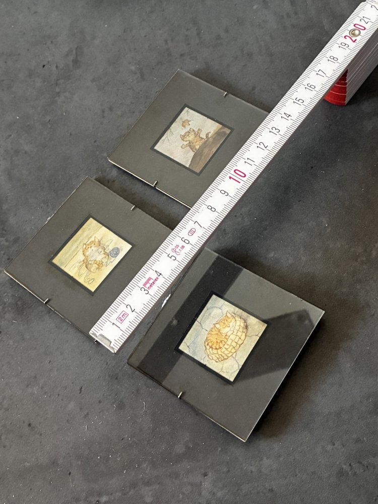 Tierwelt Kunst Bilder Miniatur Cats Reproduktion Katzenbild Motiv Wanddeko Motto Bunte Welt Hajek Dieter Nostalgie Sammlerobjekt 