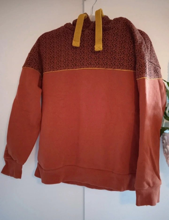 Hoody rost