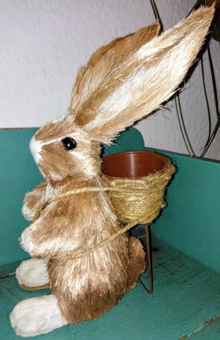 Übertopf Osterhase für Babypflanzen