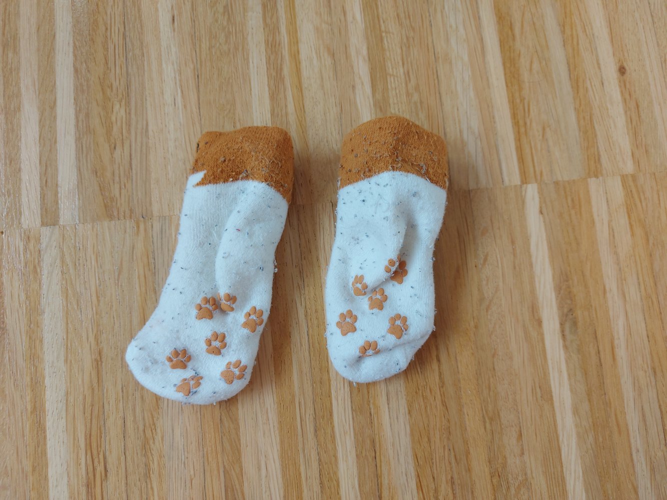 Weiß-orange Babysocken mit Fuchs für kleine Babyfüße mit Stoppernoppen