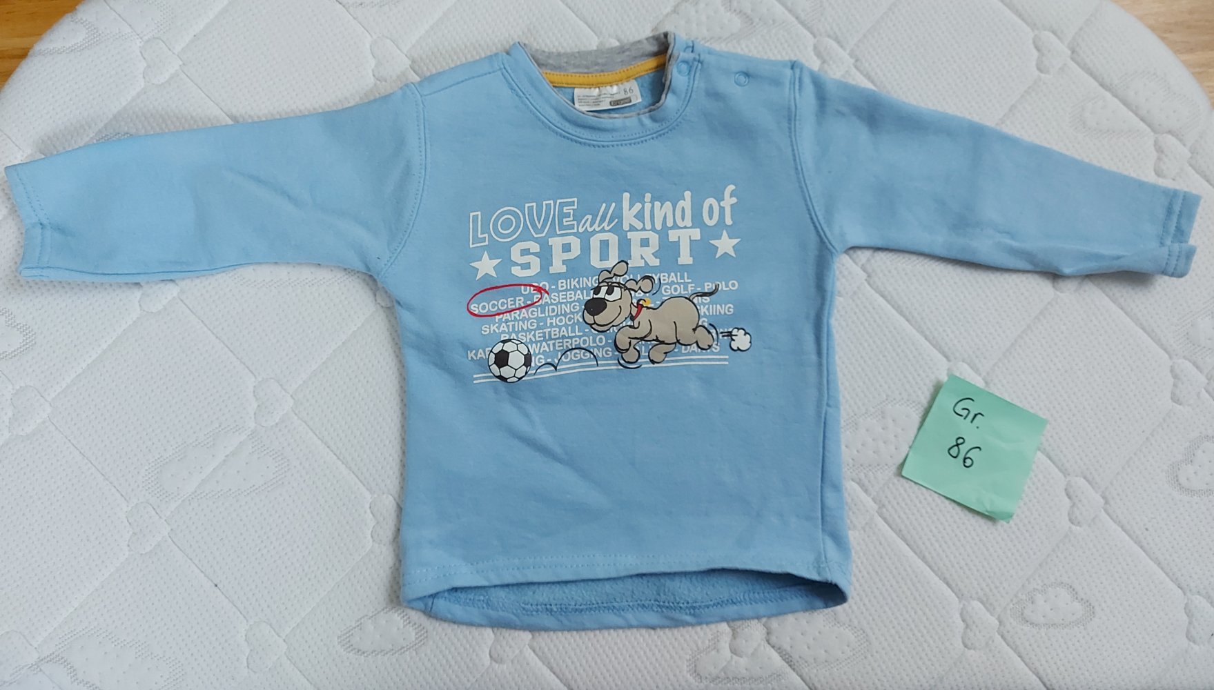 langärmliger hellblauer Babypullover mit Hundemotiv Love all the sports Gr. 86