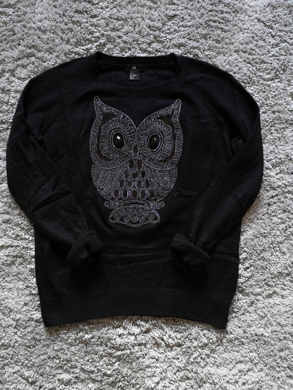 Eulen Pullover H&M